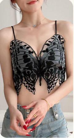 Voler Haut Sexy Butterfly Style with Embroidery Deep V Neck Lace Bra